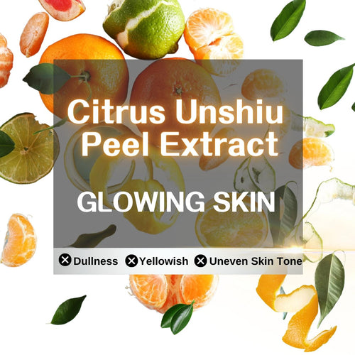 【Private Sale】Fango Brillante Brightening Mud Mask for Face and Body 7.5oz