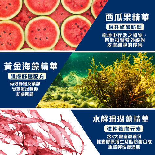 [官網限定] 基因賦活小藍瓶及全日水活乳霜套裝